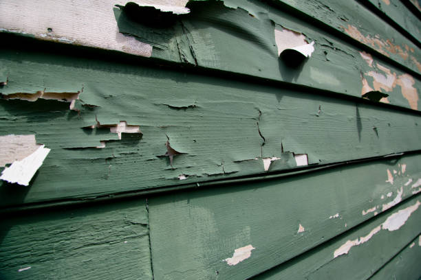 Best Dumpster Rental Services  in Muldraugh, KY