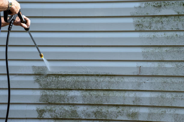 Best Construction Debris Removal  in Muldraugh, KY